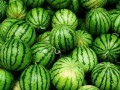 今日吃瓜每日必吃,每日必吃，揭秘娱乐圈新鲜事